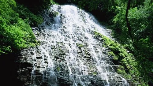 全自动精密高端